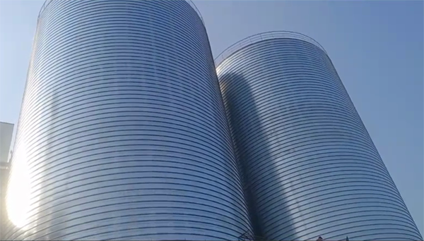 光坡镇2座混凝土高架卷板仓